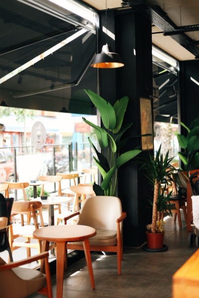 A sunlit café with wooden chairs and plants